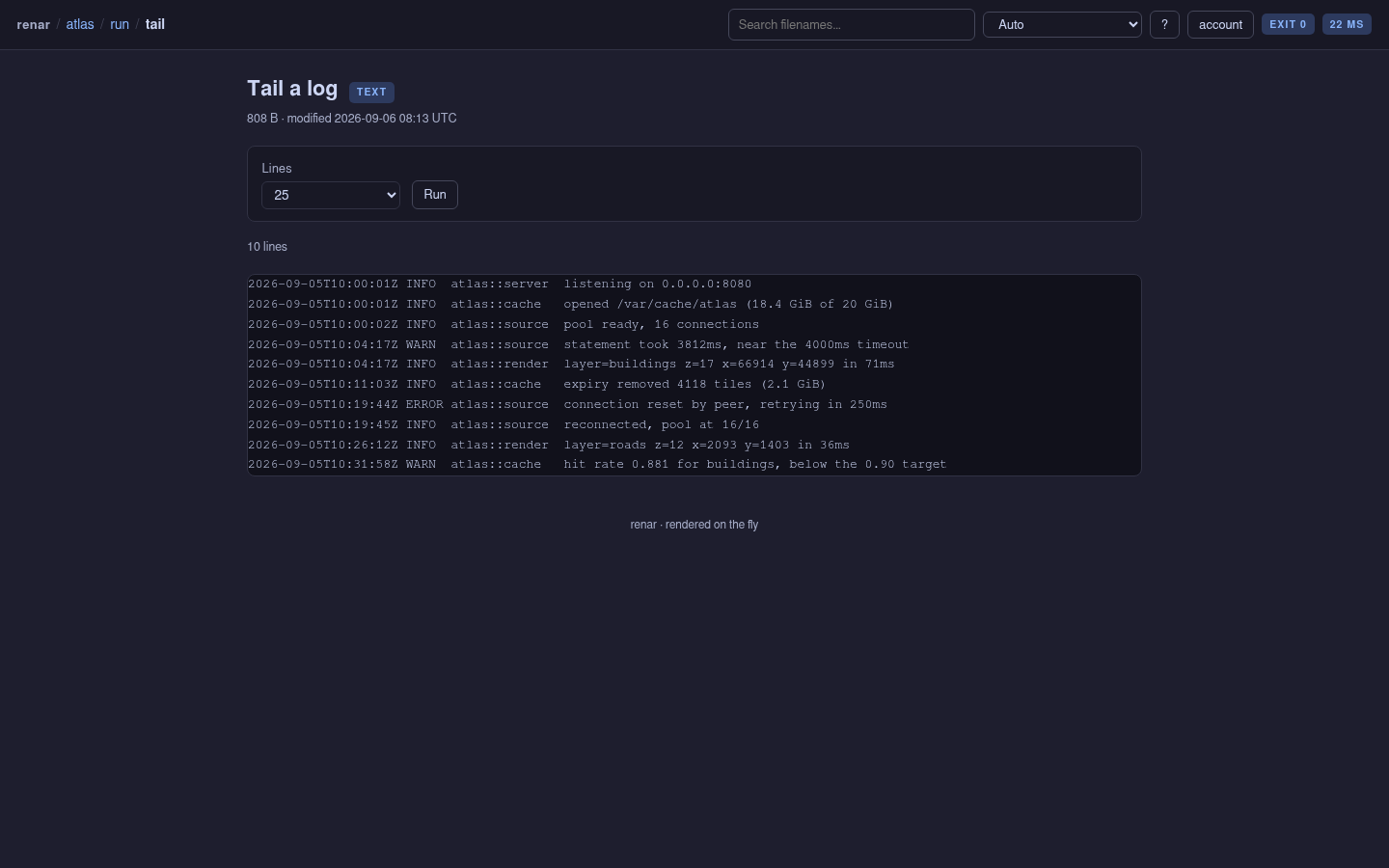 A renar command page with a labelled dropdown and a Run button above the output, showing a tailed service log with timestamps and levels.